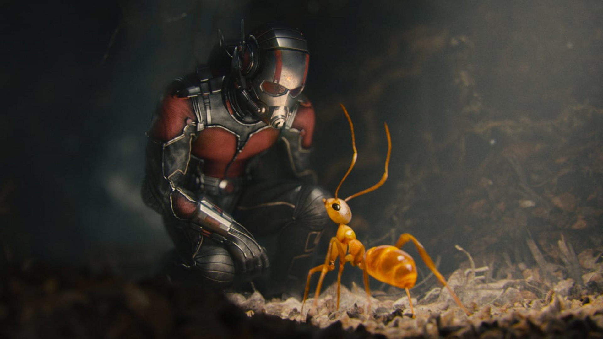 3dws - 3 - Ant-Man by Method Studios © Marvel Studios